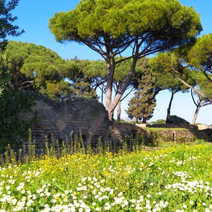 Per Antiqua Itinere Apartment Ostia Antica Bagian luar foto