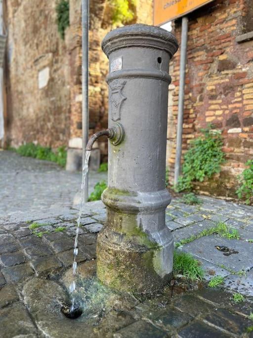 Per Antiqua Itinere Apartment Ostia Antica Bagian luar foto